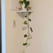 要 じゅんこ 指名してくださって嬉しいです♪ こあくまな熟女たち 本厚木店(KOAKUMAグループ)