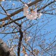 ヒメ日記 2026/03/27 15:46 投稿 ちい 妻天 京橋店