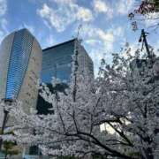 ヒメ日記 2026/04/05 18:55 投稿 ちい 妻天 京橋店