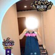 ヒメ日記 2026/09/30 16:28 投稿 はるひ One More奥様　横浜関内店
