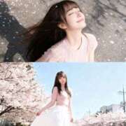 ヒメ日記 2026/03/28 09:56 投稿 のどか クラブハウスシェル