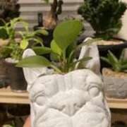 ヒメ日記 2026/03/10 15:12 投稿 せりな clubさくら京橋店