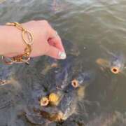 ヒメ日記 2026/03/28 23:24 投稿 せりな clubさくら京橋店