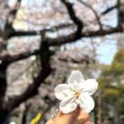 ヒメ日記 2026/04/09 08:34 投稿 せりな clubさくら京橋店