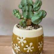 ヒメ日記 2026/04/10 23:34 投稿 せりな clubさくら京橋店