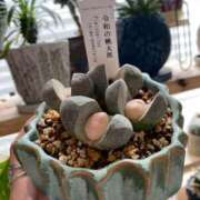 ヒメ日記 2026/04/11 05:14 投稿 せりな clubさくら京橋店