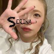 せりな せりな（clubさくら京橋店） clubさくら京橋店