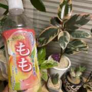 せりな せりな（clubさくら京橋店） clubさくら京橋店