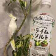 ヒメ日記 2026/07/17 02:24 投稿 せりな clubさくら京橋店