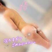 ヒメ日記 2026/03/20 10:43 投稿 りく プリンセスセレクション姫路