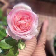 ヒメ日記 2026/04/04 17:00 投稿 こころ Club-Embassy