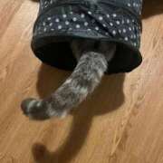 ヒメ日記 2026/04/05 23:04 投稿 こころ Club-Embassy