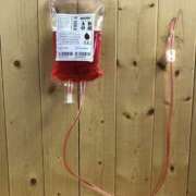 ヒメ日記 2026/04/19 17:30 投稿 こころ Club-Embassy