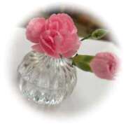 ヒメ日記 2026/02/27 16:54 投稿 玲奈(れいな) PLUS難波店