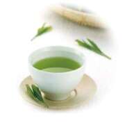 ヒメ日記 2026/03/04 08:34 投稿 玲奈(れいな) PLUS難波店