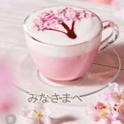 ヒメ日記 2026/03/13 08:19 投稿 玲奈(れいな) PLUS難波店