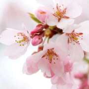 ヒメ日記 2026/03/16 08:24 投稿 玲奈(れいな) PLUS難波店