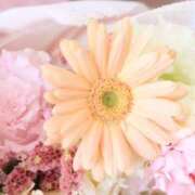 ヒメ日記 2026/04/02 07:24 投稿 玲奈(れいな) PLUS難波店