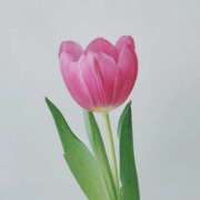 ヒメ日記 2026/04/03 16:44 投稿 玲奈(れいな) PLUS難波店