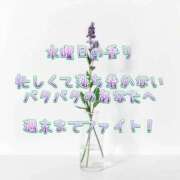 ヒメ日記 2026/03/11 09:01 投稿 安達つぐみ 池袋㊙エステ～フル勃起～