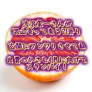 ヒメ日記 2026/03/12 12:43 投稿 安達つぐみ 池袋㊙エステ～フル勃起～