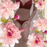 ヒメ日記 2026/03/19 12:14 投稿 三浦なみ 恋する奥さん 西中島店