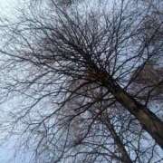 ヒメ日記 2026/03/28 13:56 投稿 三浦なみ 恋する奥さん 西中島店