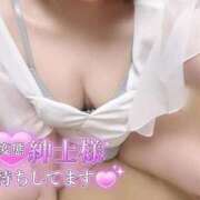 あん 日本人の〇〇がなんと世界一♡ 静岡♂風俗の神様 静岡店