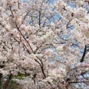 ヒメ日記 2026/03/26 08:45 投稿 桐島 ゆりの キングアンドクイーン