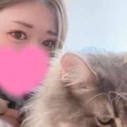 ヒメ日記 2026/04/12 10:07 投稿 桐島 ゆりの キングアンドクイーン