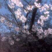 ヒメ日記 2026/04/02 14:35 投稿 すず 池袋しろパラ