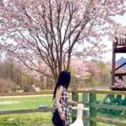 ヒメ日記 2026/04/18 19:21 投稿 もも 錦糸町アロマエステ