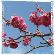 ゆい ほのかに甘い香り♡ 完熟ばなな 上野店