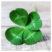 ゆい 昨日はありがとうございました♡ 完熟ばなな 上野店