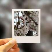 ヒメ日記 2026/03/29 23:06 投稿 ゆい 完熟ばなな 上野店