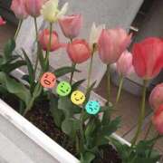 ヒメ日記 2026/04/03 09:46 投稿 ゆい 完熟ばなな 上野店