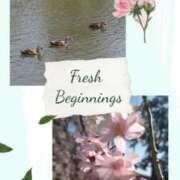 ヒメ日記 2026/04/05 14:16 投稿 ゆい 完熟ばなな 上野店