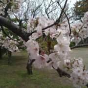 ゆい こんにちは 完熟ばなな 上野店