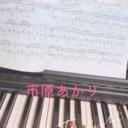 市原 あかり 自己紹介の続きなど 大奥 難波店