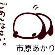 ヒメ日記 2026/03/06 09:53 投稿 市原 あかり 大奥 難波店