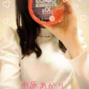 ヒメ日記 2026/03/16 09:11 投稿 市原 あかり 大奥 難波店