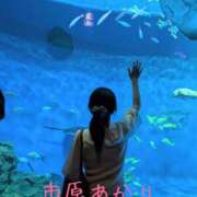 ヒメ日記 2026/08/09 11:20 投稿 市原 あかり 大奥 難波店