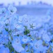 ヒメ日記 2026/04/15 19:16 投稿 芹澤ひろか MADAM