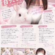 さくら みかんは🐰♡ 池袋あられ