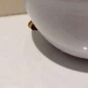 ヒメ日記 2026/03/12 00:10 投稿 かな ビデオdeはんど すすきの校