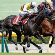 あすな 【  🐴 Topics 🍁🍂 】 逆電車ごっこ ～GLAMOROUS TRAIN～