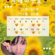 ひまり 🌻3月前半の予定🌻 アラカルト