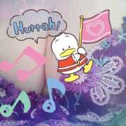 櫻井 櫻井🌸 しゅうかつ倶楽部