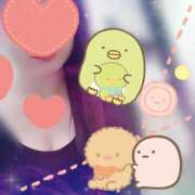 ヒメ日記 2026/03/01 08:00 投稿 櫻井 しゅうかつ倶楽部