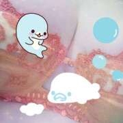 ヒメ日記 2026/03/03 10:00 投稿 櫻井 しゅうかつ倶楽部